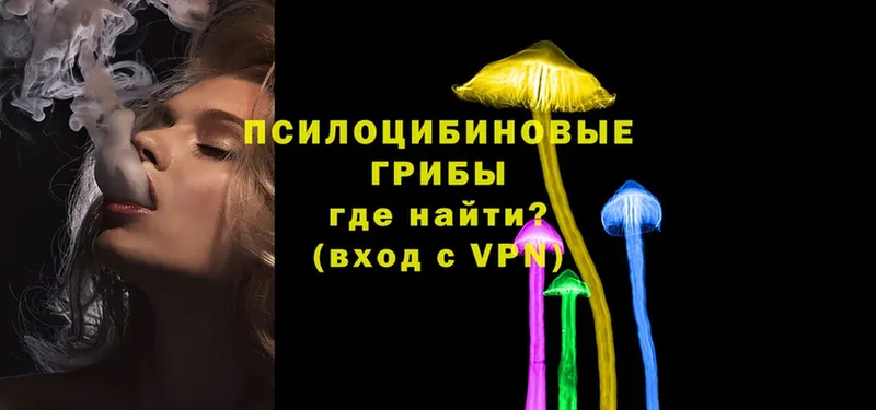 omg ONION  Бузулук  Псилоцибиновые грибы Magic Shrooms 